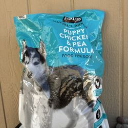 Doverman Puppies Food 