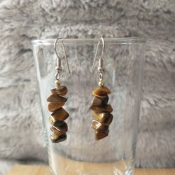 Tigers Eye Earrings