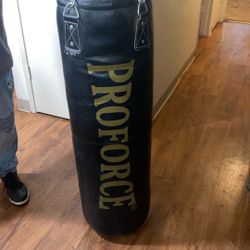 75 Punching Bag 