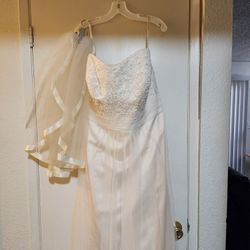 Wedding Dress and Veil