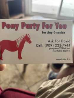 Pony rides and petting tubes