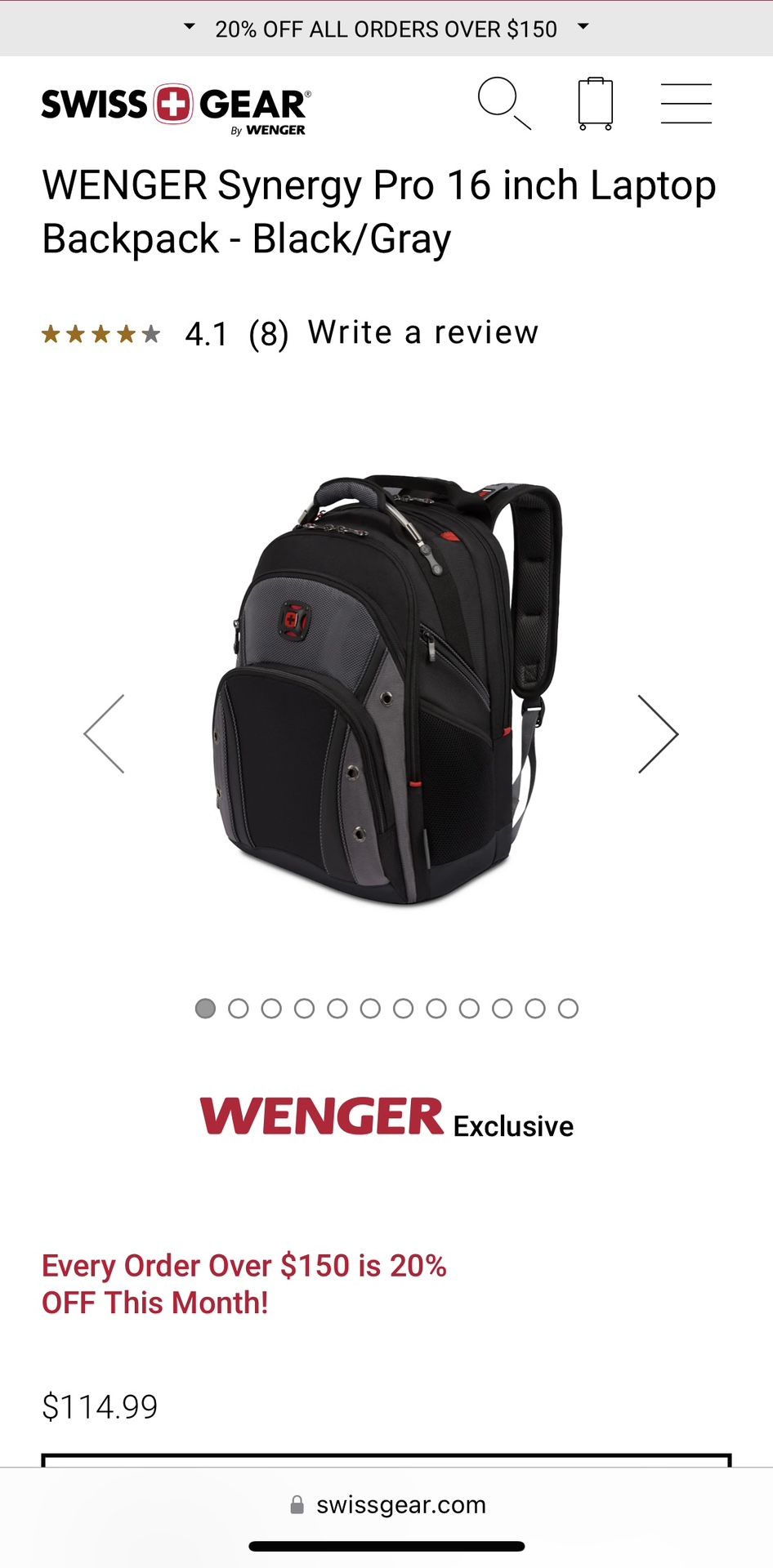 Swiss gear Synergy Pro backpack 