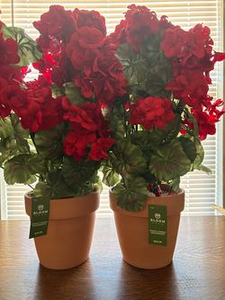 NEW - Two 23 inch Tall Silk Geranium Plants in Terracotta Pot’s
