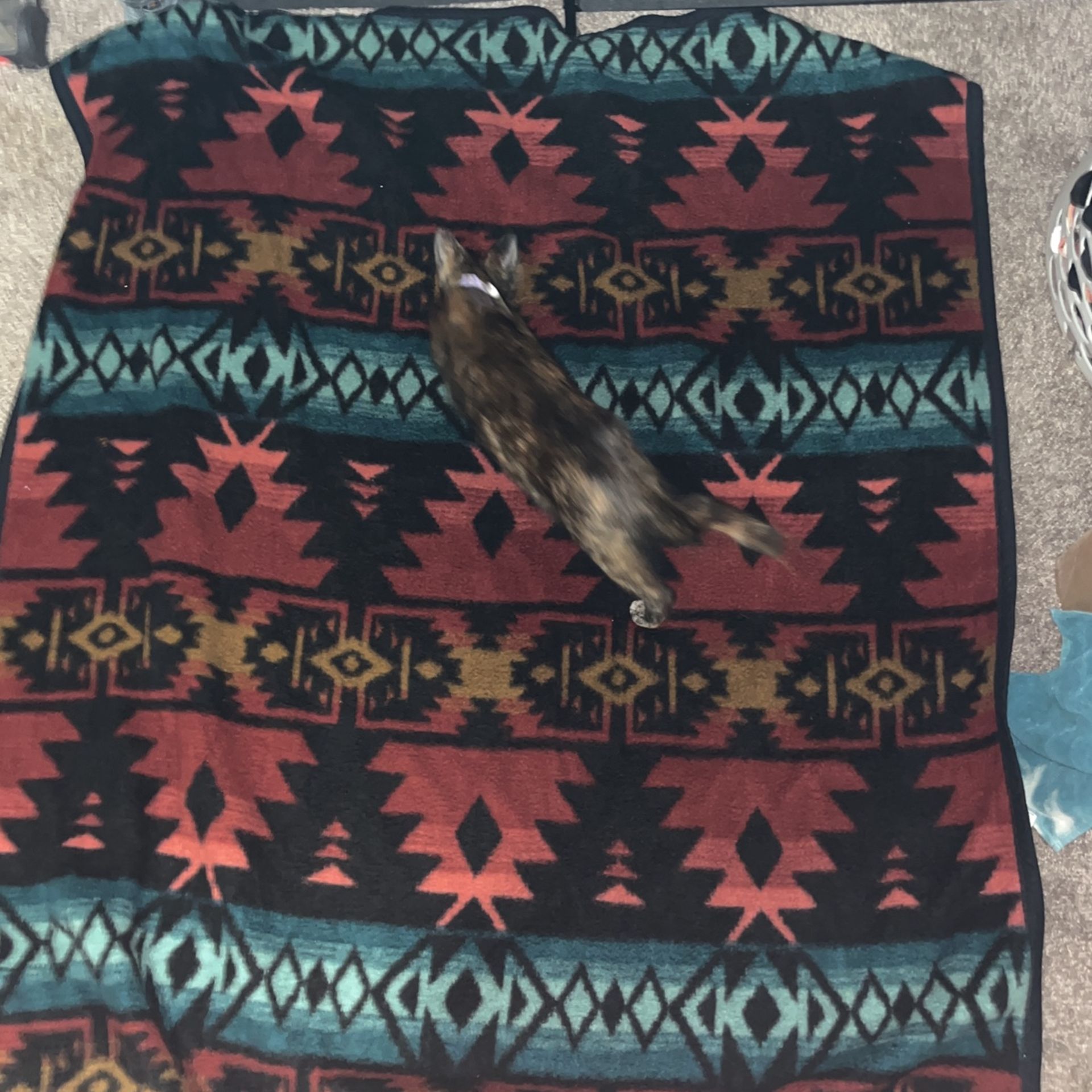 Faux Pendtilon Blanket