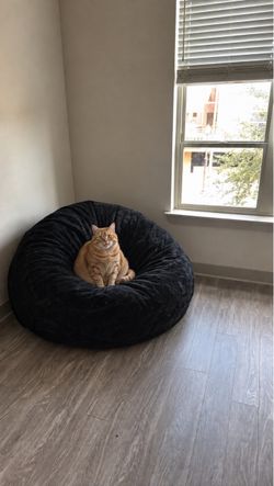 6 Foot Bean Bag