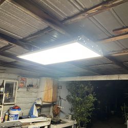 Industrial Lights
