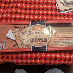Blues Box BBG Slide Guitar New 