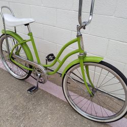 24" Vista Bike