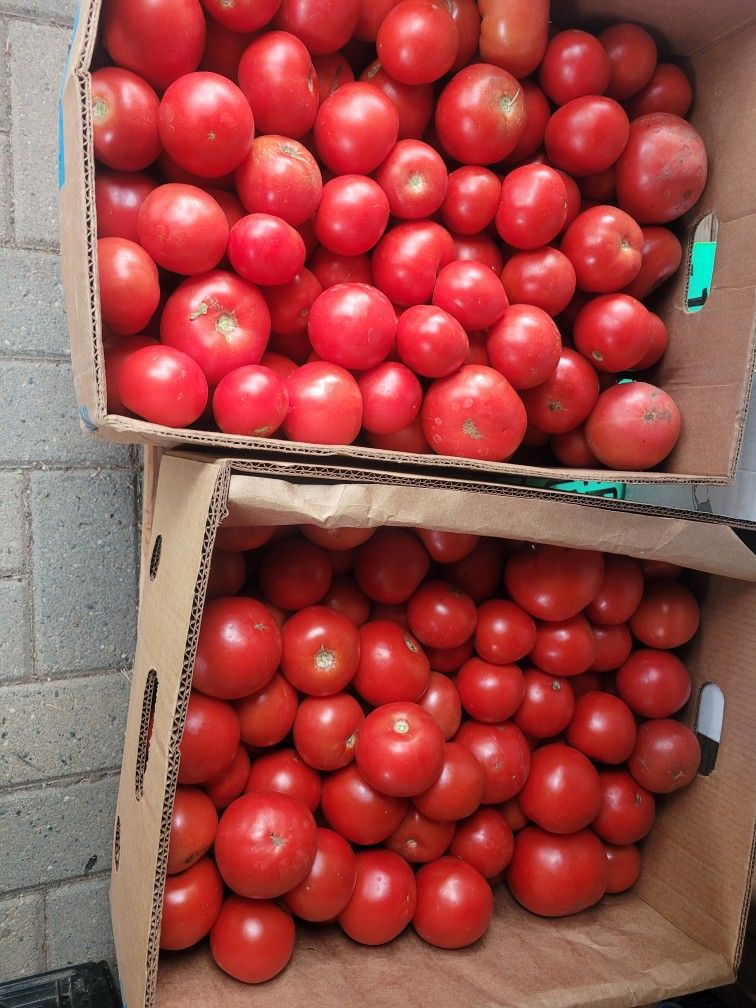 Organic Produce
