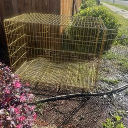Dog Cages