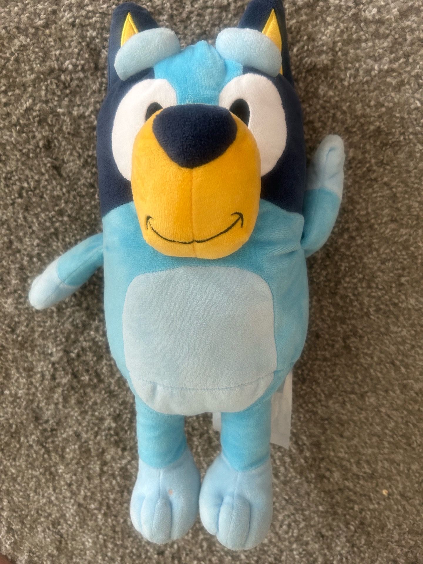 Bluey plush
