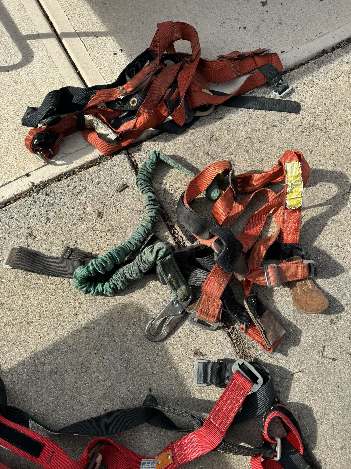 Harnesses