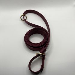 6ft Slip Lead for Dogs – Waterproof Biothane + Brass