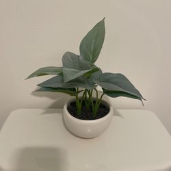 Small Artificial Plant In Pot