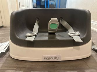 Ingenuity Booster Seat