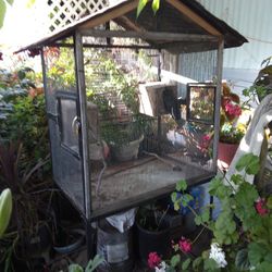 Bird Cage For Sale