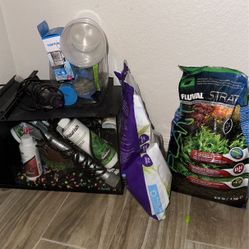3 Gallon Fish Tank With Fish Essentials 