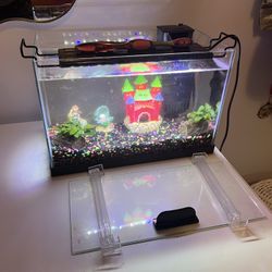 Fish Tank 2.5 Gallon With Accessories