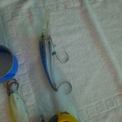 DTX MINNOW