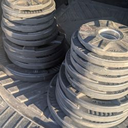 2" Rubber Cast Iron Weights 