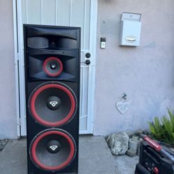 Cerwin-Vega! BIGGEST House Speaker 