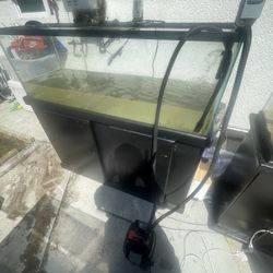 50 GALLON FISH TANK WITH FILTER FOR SALE!!!