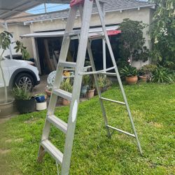 6 Ft Werner Ladder 🪜 