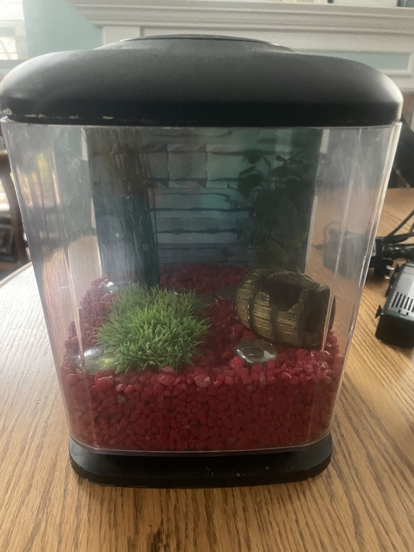 1.5 Gallon Desktop Aquarium Kit