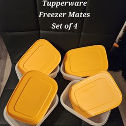 Tupperware Freezer Mates Plus Set Of 4 Small 