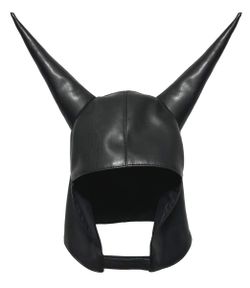 CARTI HORNS