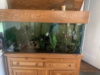 80 gallon fish tank