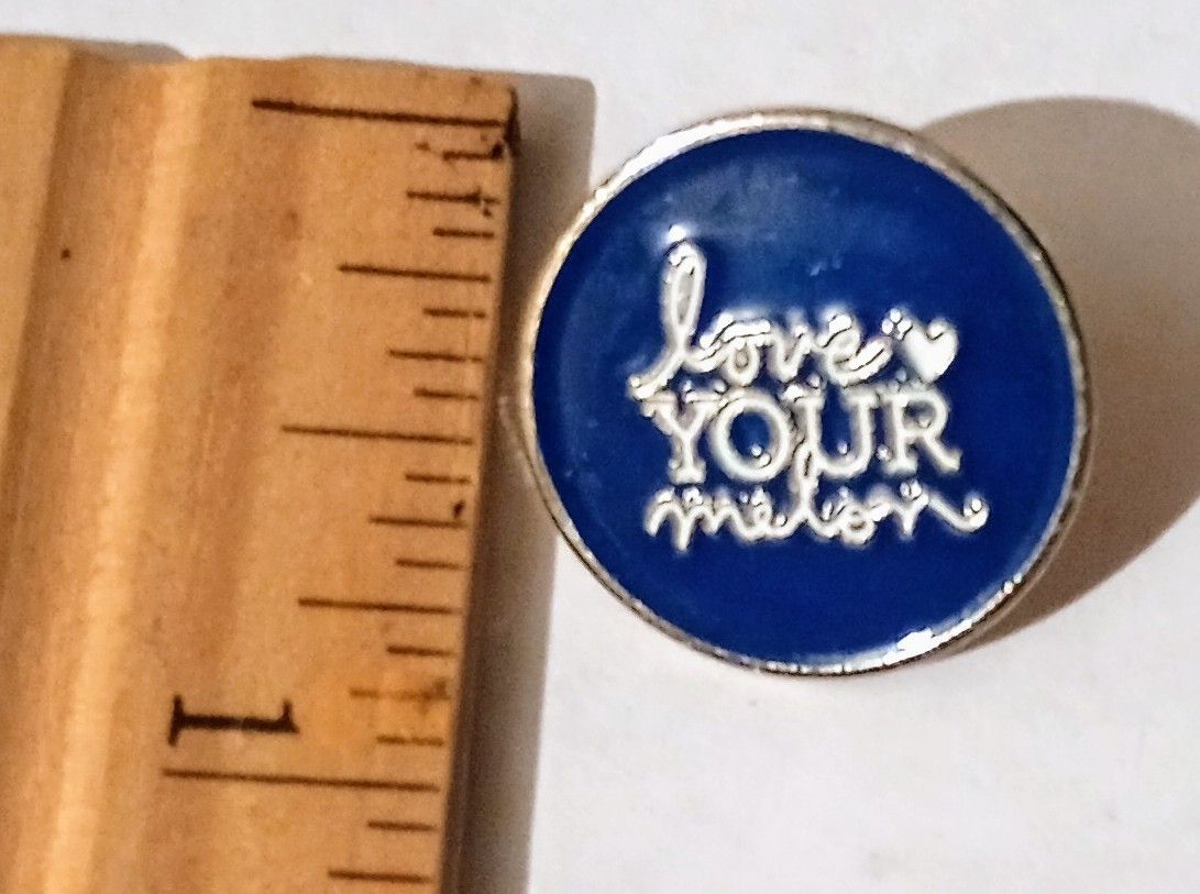 Love Your Melon Vintage Collectible Lapel Pin A-1