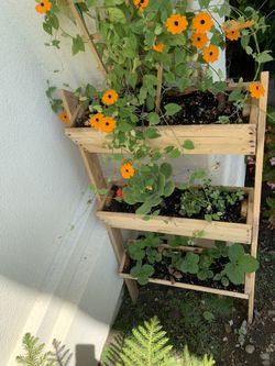 Handmade plants stand serious inquires no bargain
