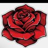 Gifted Rose