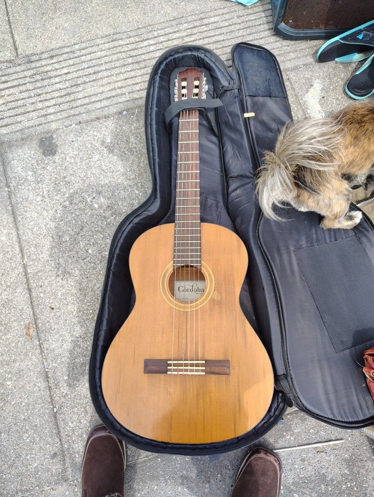 Córdoba Guitar/Kong Clip-on Tunner, Guitar Case,And Replacement Guitar Strings