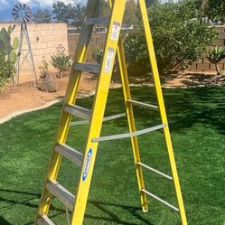 7 Feet  Werner Ladder 
