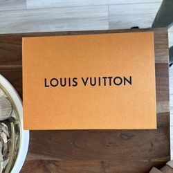 Louis Vuitton Shoes 