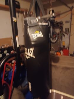 Everlast punching bag and stand