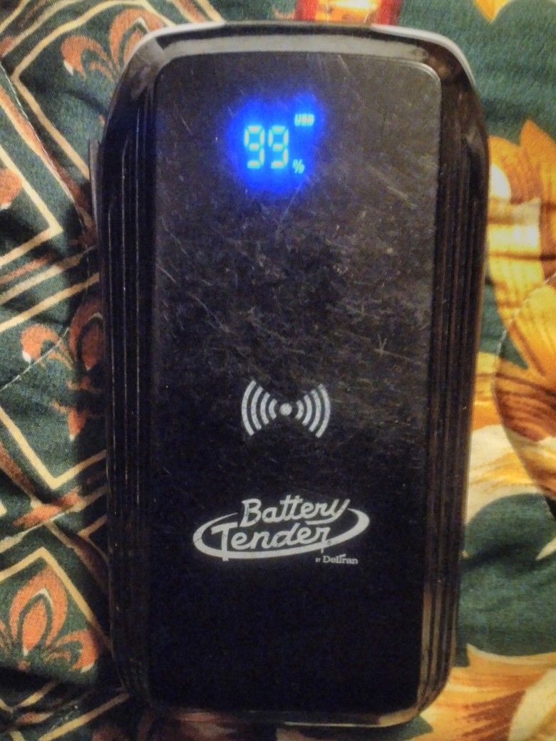 Deltran Battery Charger