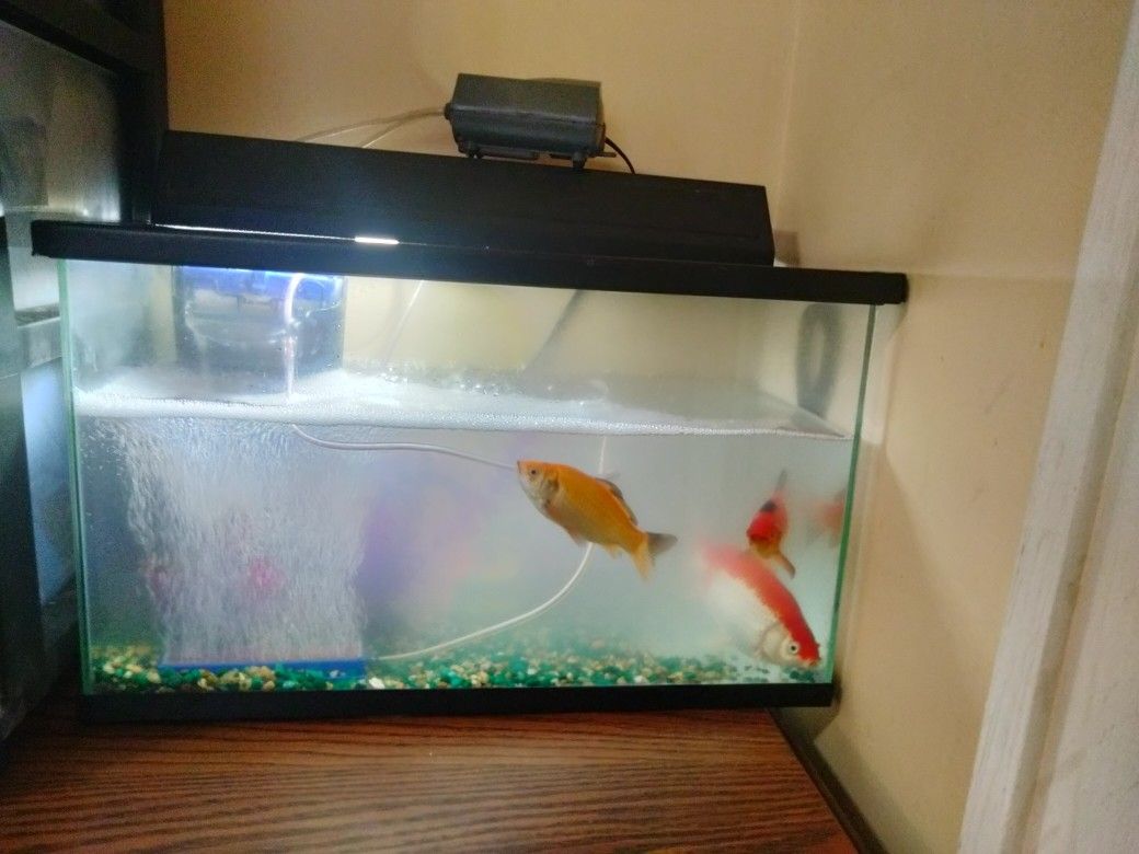 Aquarium