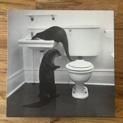 Cute Otter Bathroom Art