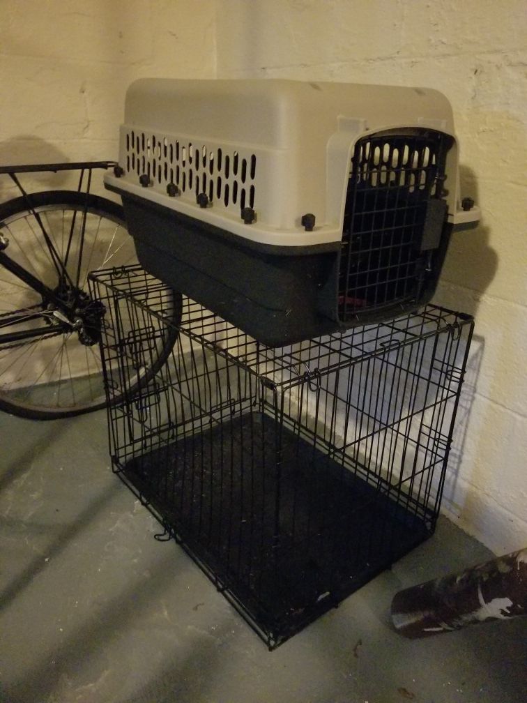 dog kennel and travel