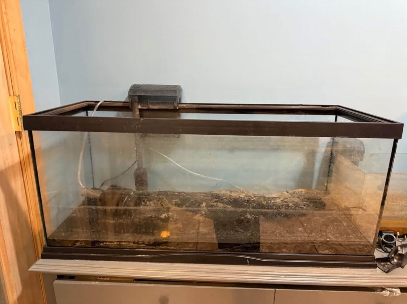 Two fish tanks