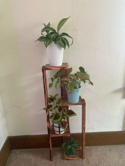 Small plant stand
