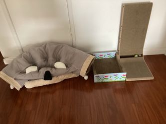 Cat items