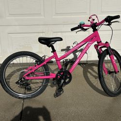 20 Inch Specialized Mountain Bike