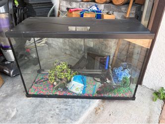 Large 30 gallon fish tank