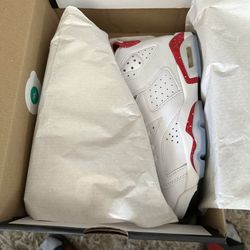 Jordan Retro 6