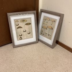 Frames With Mushroom Prints
