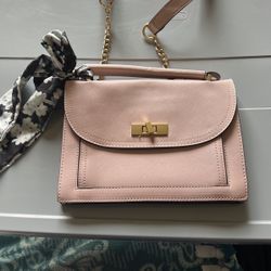 Steve Madden Purse 